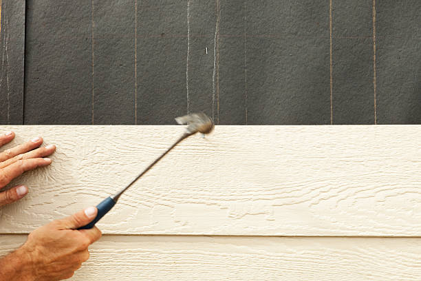 Best Stone Veneer Siding  in Tallapoosa, GA